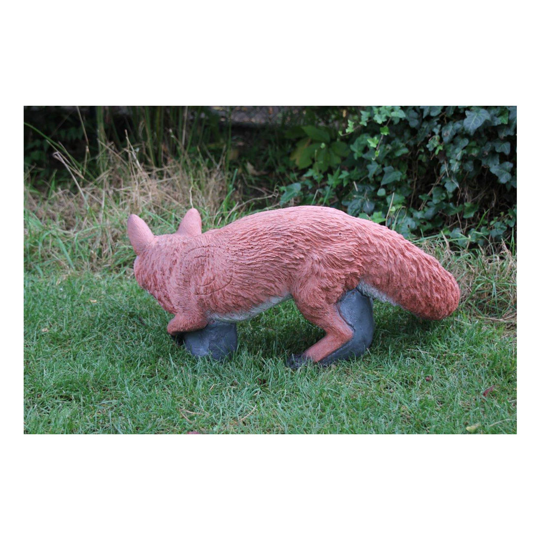 Franzbogen 3D Target Male Fox