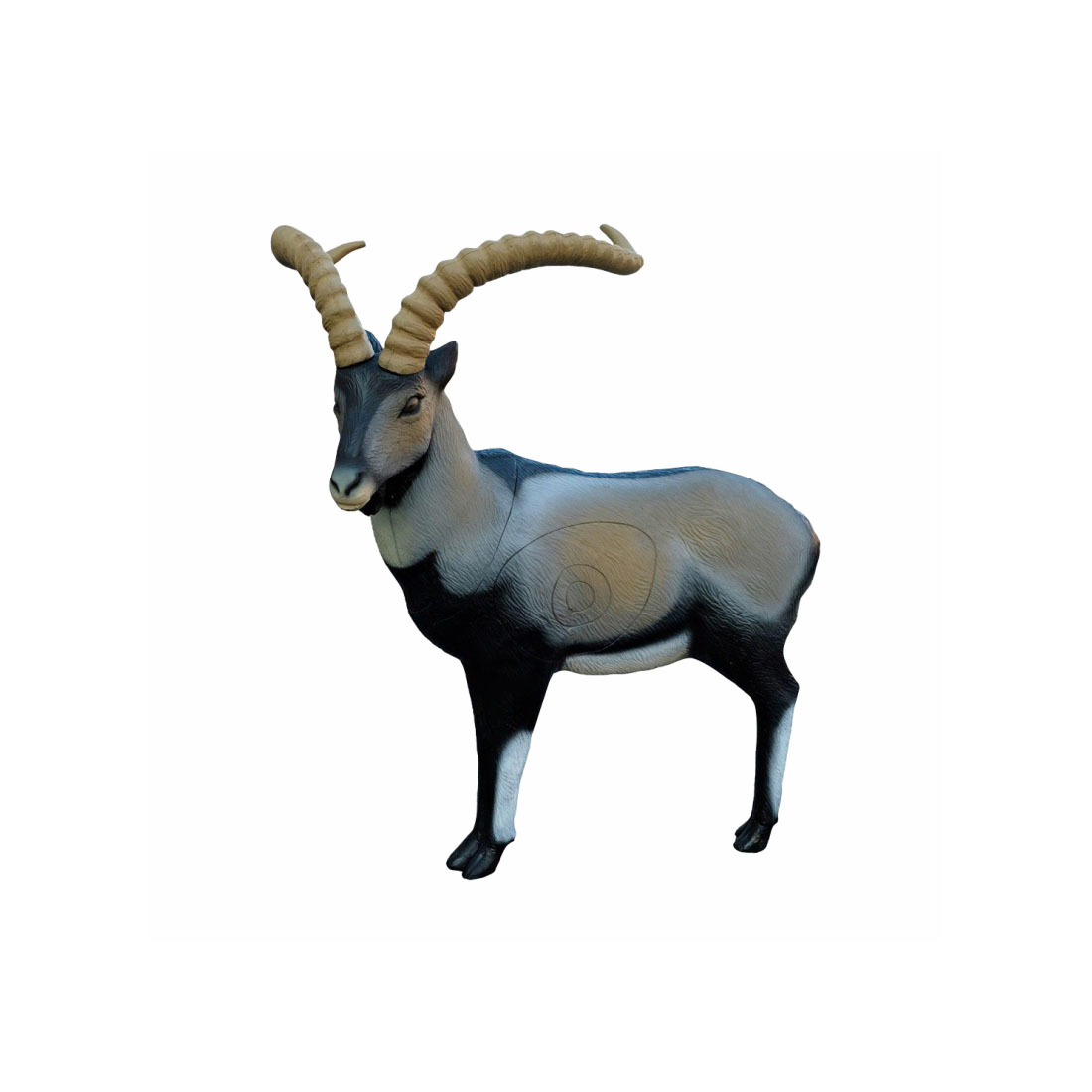 SRT Targets Iberian Ibex