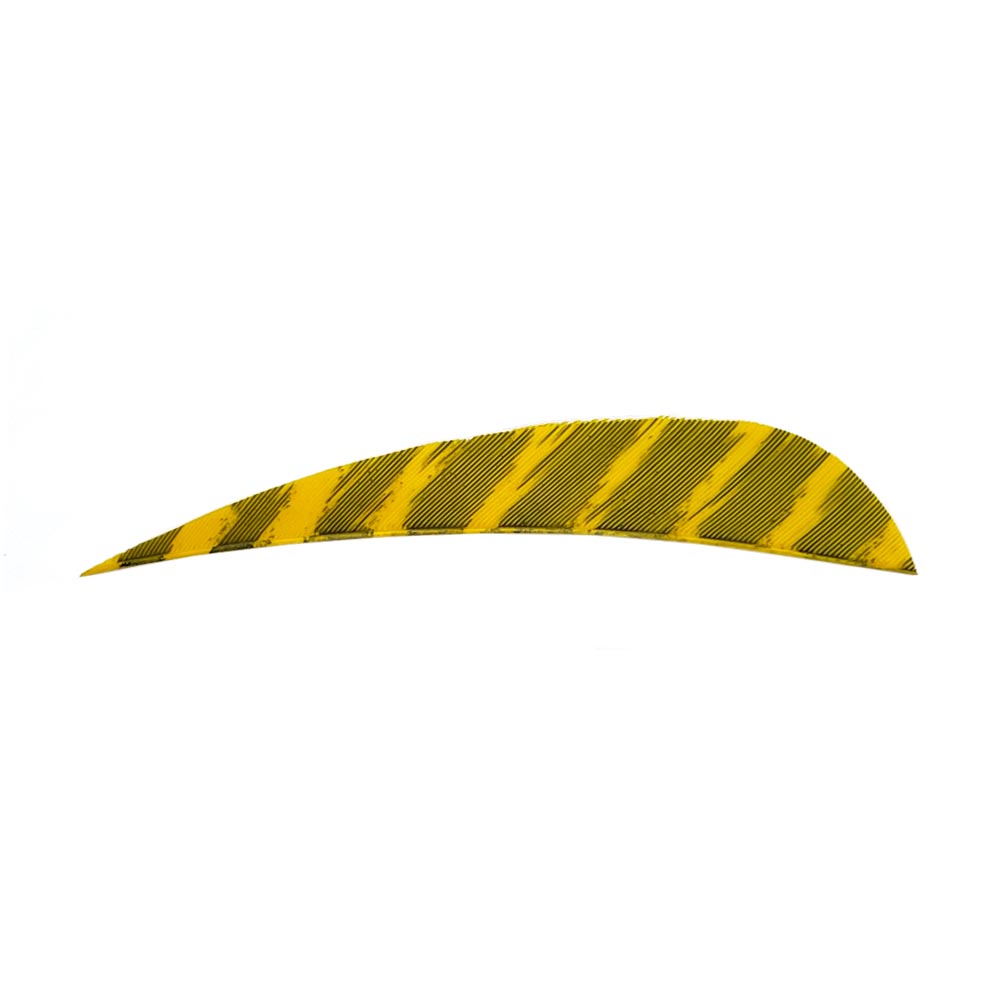 Kleur: Barred Yellow