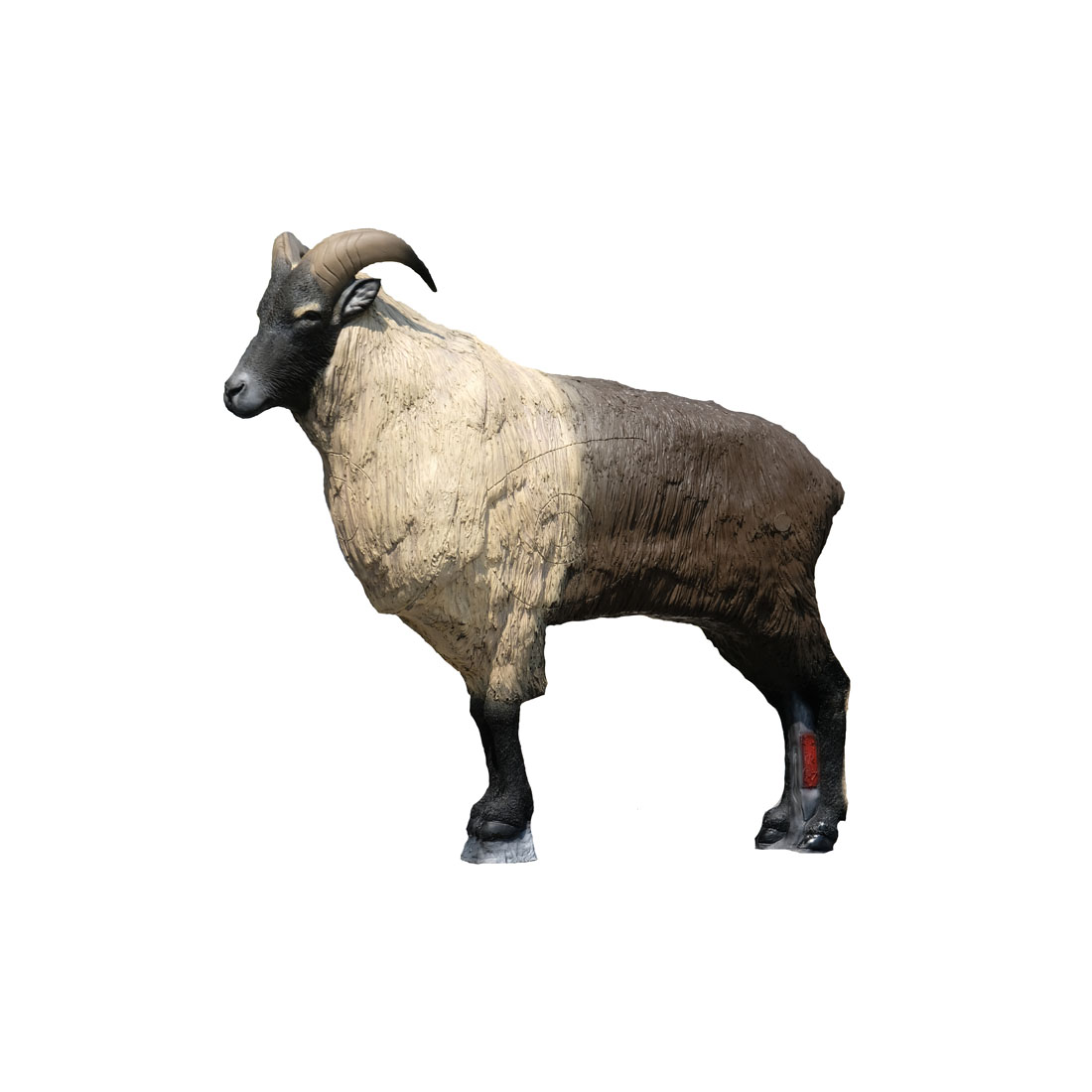 SRT Himalayan Tahr 3D Target